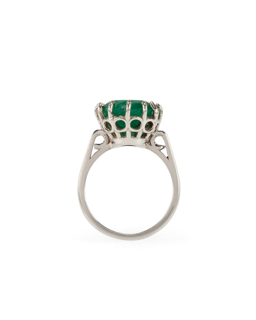 Princess Pride Ring